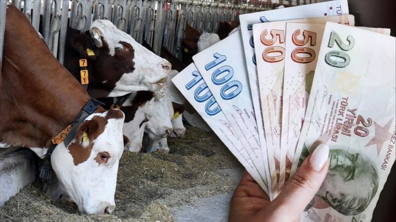 3 milyar 888 milyon TL hesaplara yatıyor! Bakan Yumaklı&#039;dan &#039;Küçükbaş hayvancılık destek ödemesi&#039; açıklaması