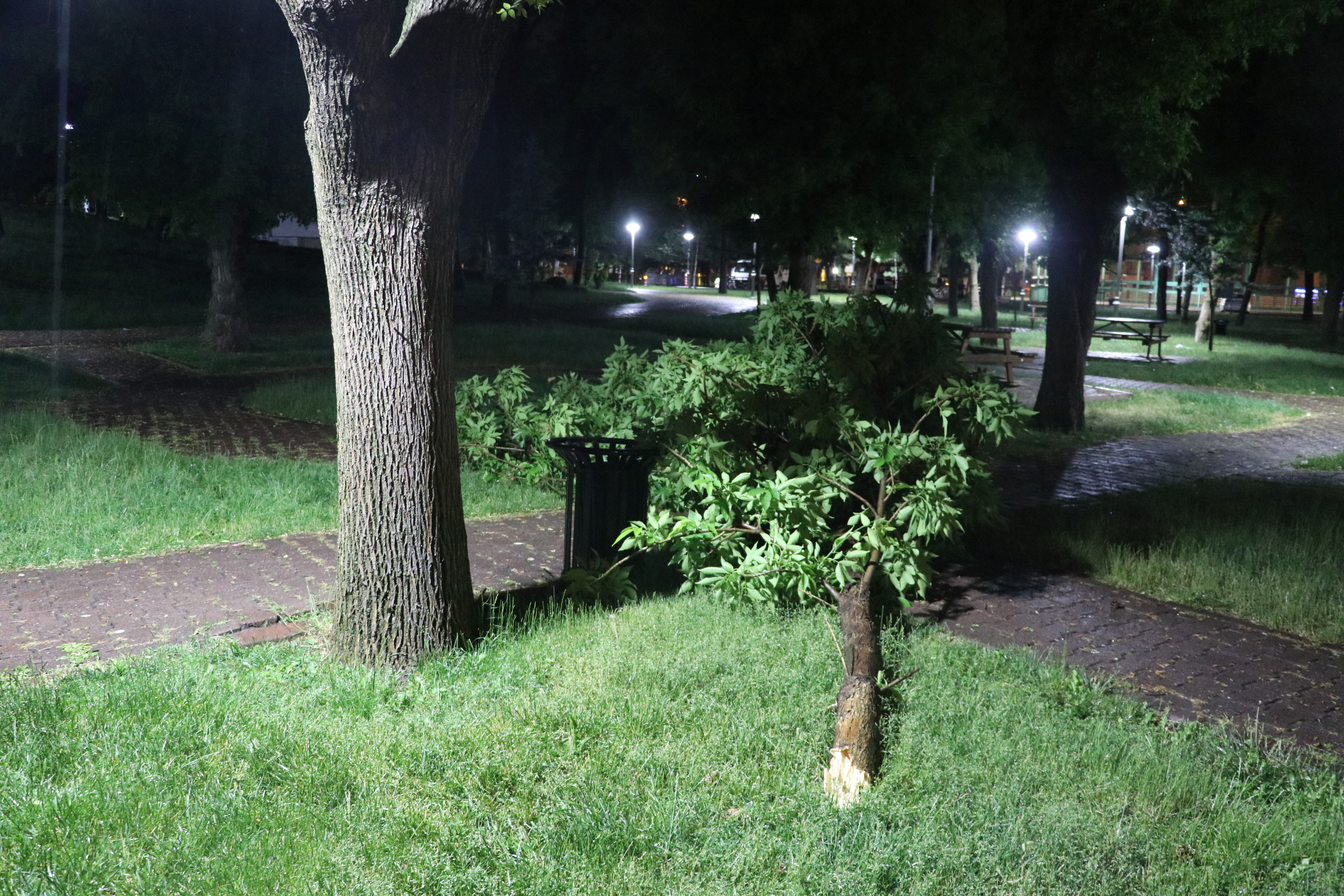 Apartmanın çatısına yıldırım düştü, park halindeki araçlar zarar gördü - 2. Resim