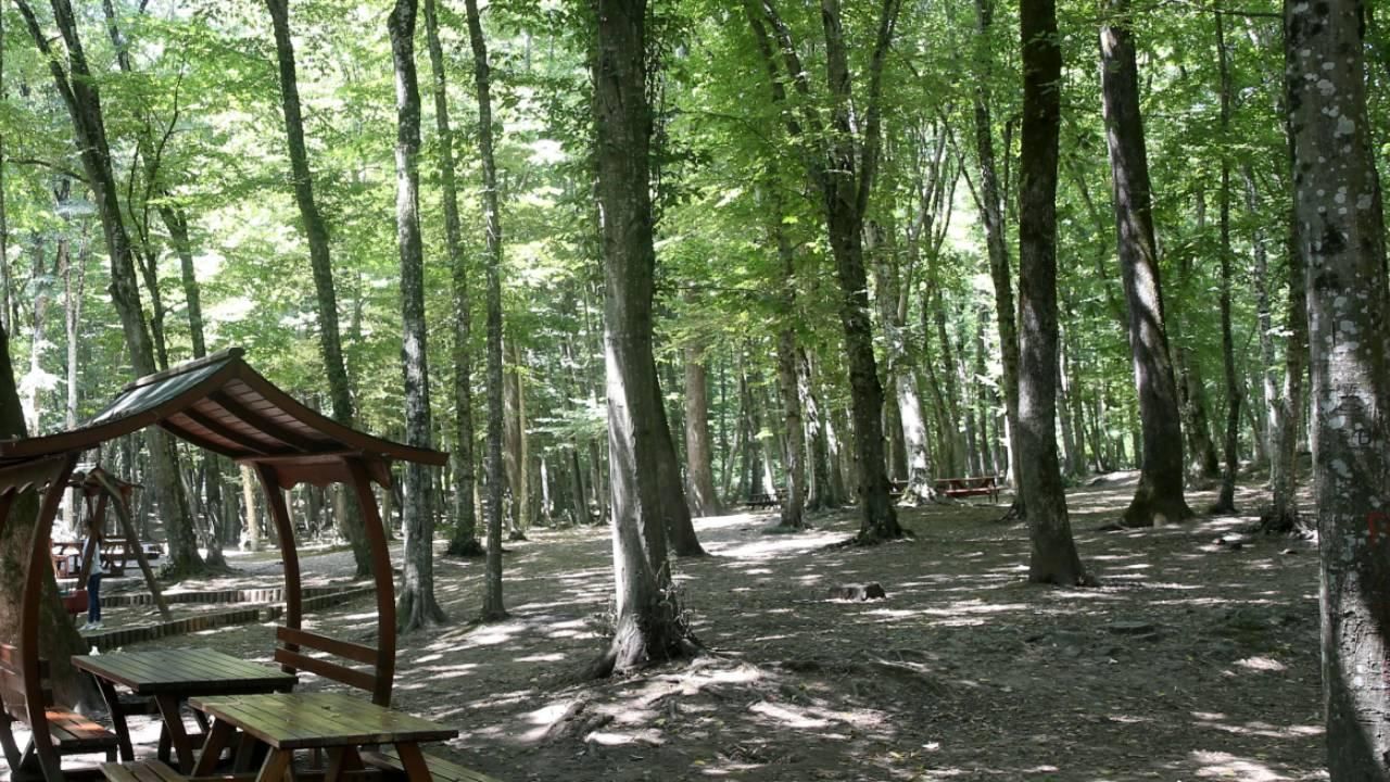Bir kentte korkutan gelişme! Bölgeye girişler 15 Kasım’a kadar yasak