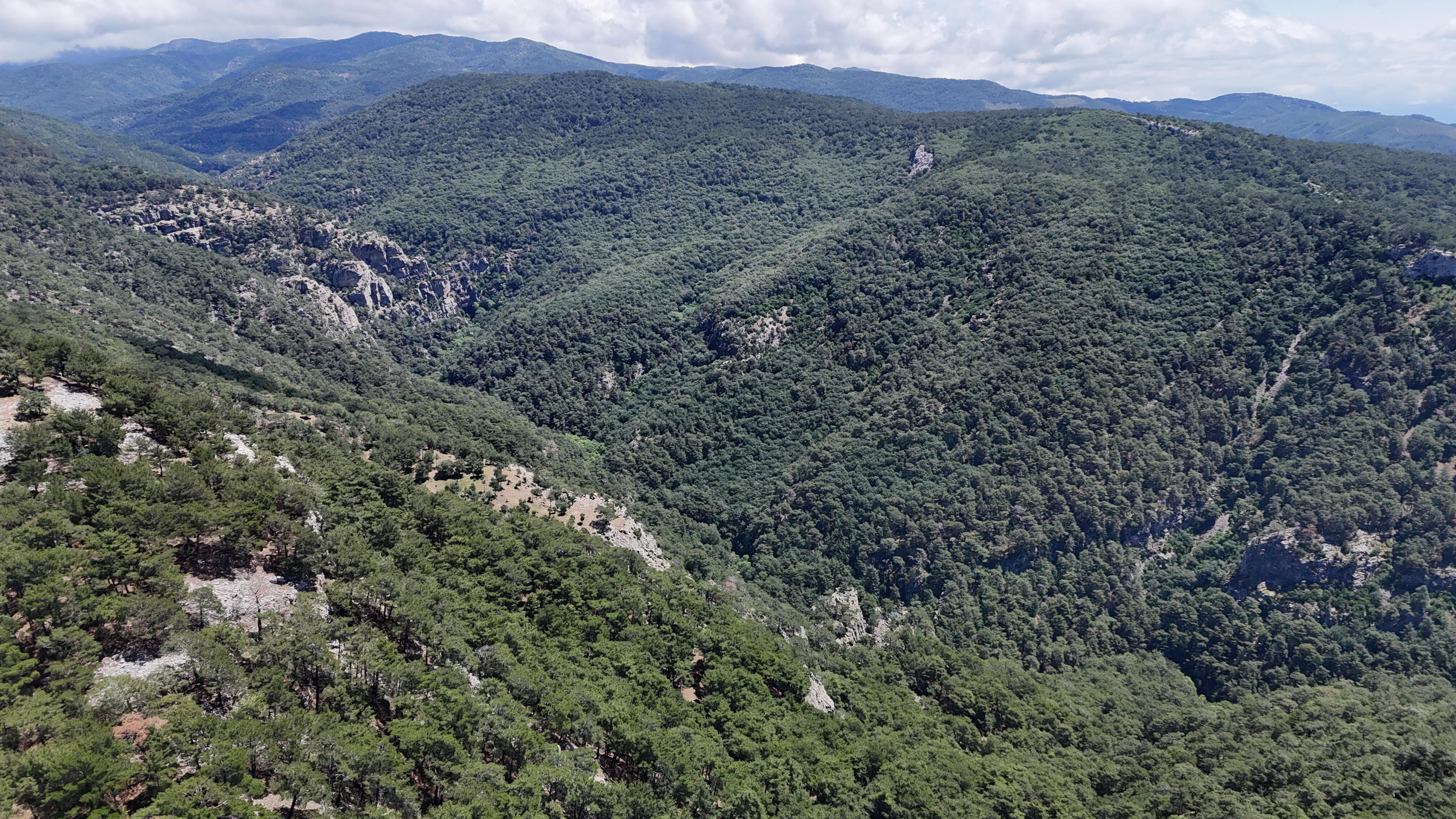 Çevre Şehircilik İl Müdür Yardımcısı Adil Bartu kayboldu! Her yerde aranıyor... - 2. Resim