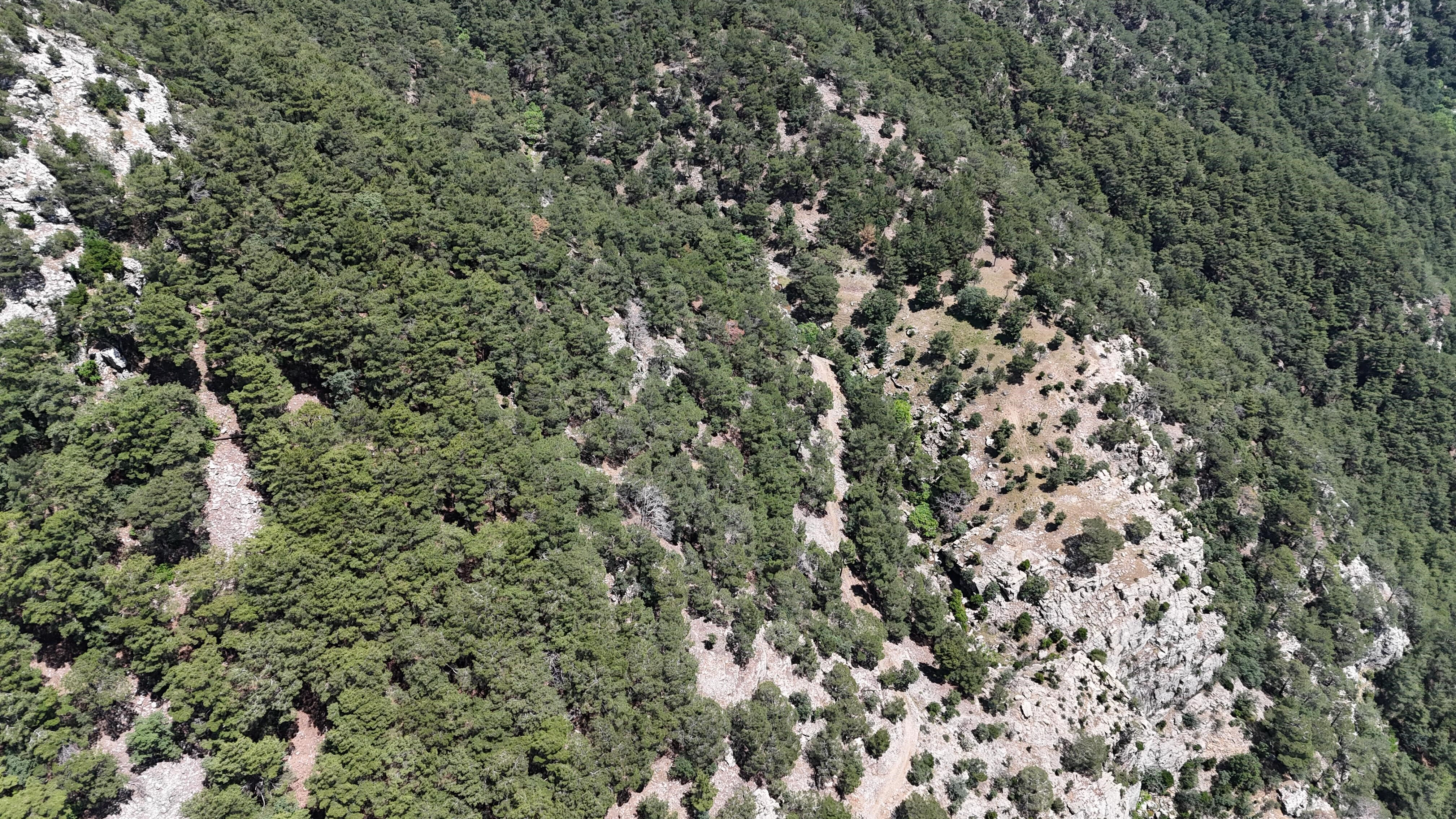 Çevre Şehircilik İl Müdür Yardımcısı Adil Bartu kayboldu! Her yerde aranıyor... - 1. Resim