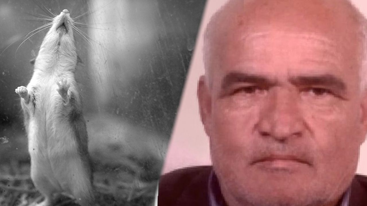 Denizli Halit Tire'nin ölümünü konuşuyor: Cinayet sanıldı ama olay bambaşkaydı! Katil fareler çıktı... Denizli Halit Tire'nin ölümünü konuşuyor: Cinayet sanıldı ama olay bambaşkaydı! Katil fareler çıktı...
