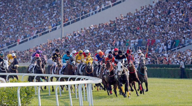 Gazi Koşusu ne zaman, nerede yapılacak? 99. Geleneksel Gazi Koşusu için tarih belli oldu Gazi Koşusu ne zaman, nerede yapılacak? 99. Geleneksel Gazi Koşusu için tarih belli oldu - 1. Resim