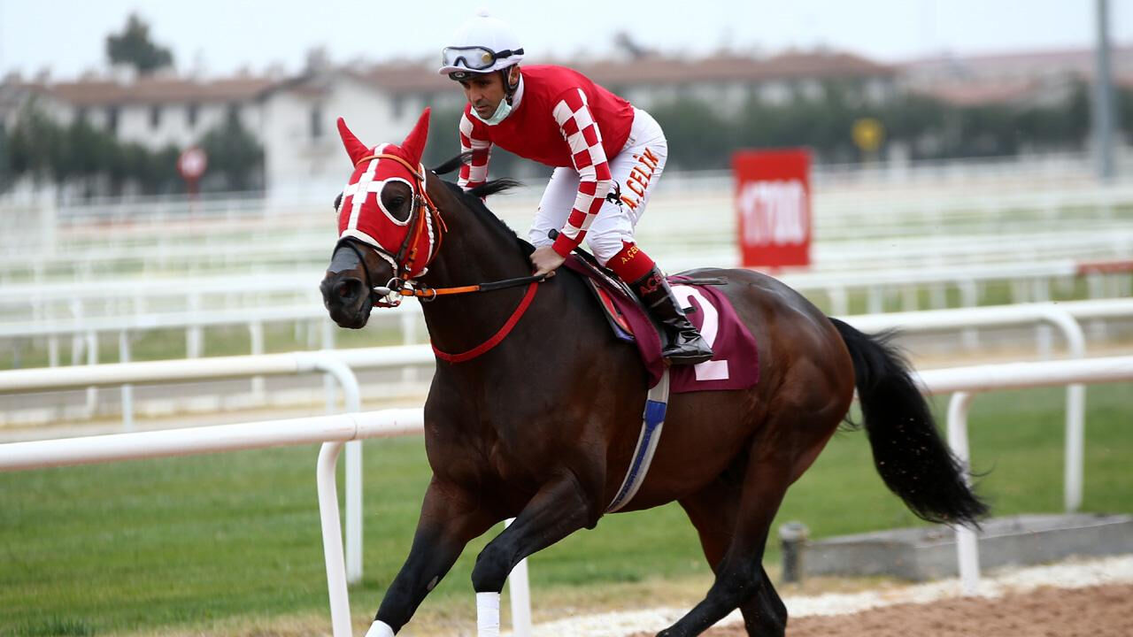 Gazi Koşusu ne zaman, nerede yapılacak? 99. Geleneksel Gazi Koşusu için tarih belli oldu Gazi Koşusu ne zaman, nerede yapılacak? 99. Geleneksel Gazi Koşusu için tarih belli oldu - 2. Resim