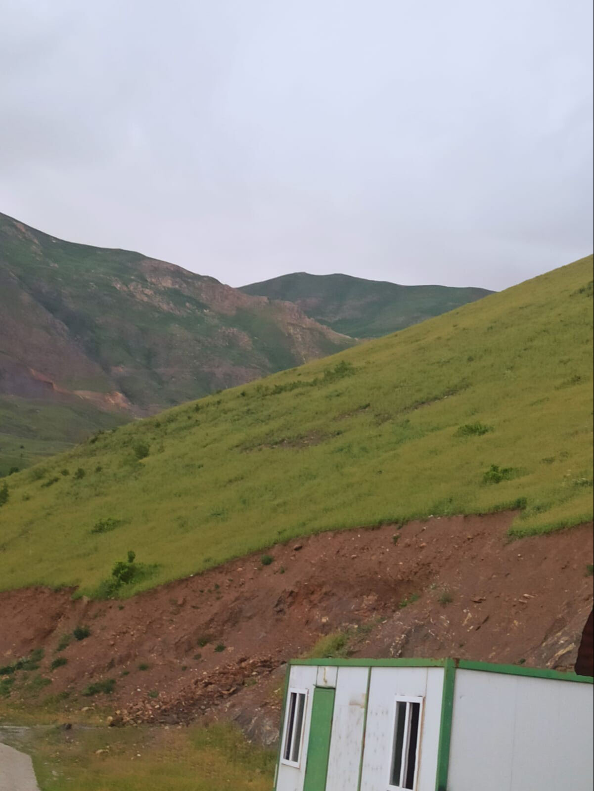 Hakkari’de doğanın eşsiz gösterisi: Gündüz açan çiçekler akşam sırra kadem basıyor - 2. Resim