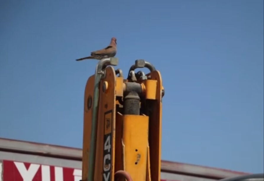 Kepçesine geldiğinde gözlerine inanamadı! 150 bin liralık kaybı göze alan operatör günlerdir kontağı kapalı tutuyor - 1. Resim