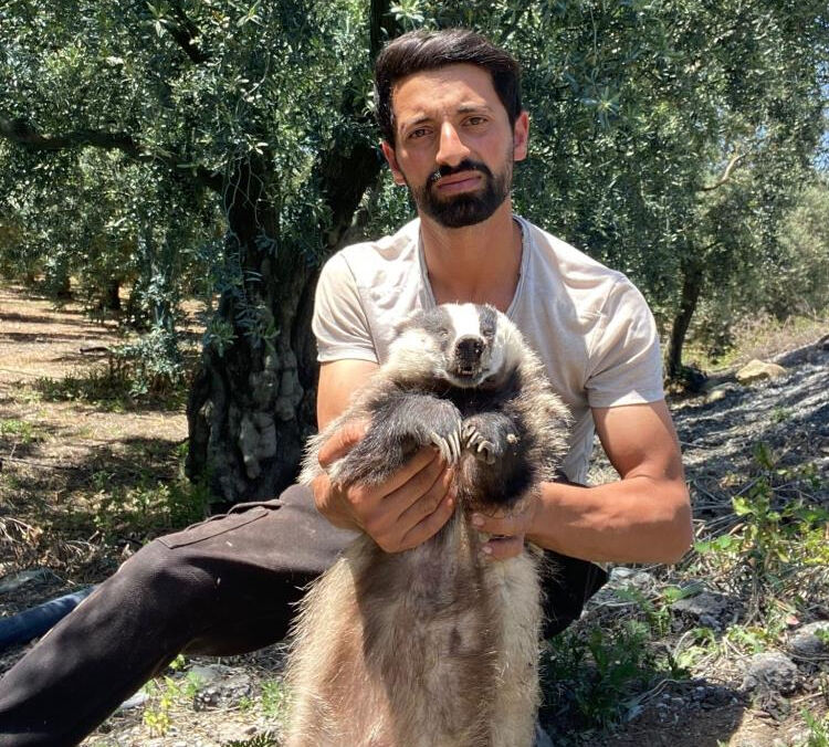 Nesli tükenme tehlikesi altındaydı, yol kenarında ölü bulundu - 1. Resim