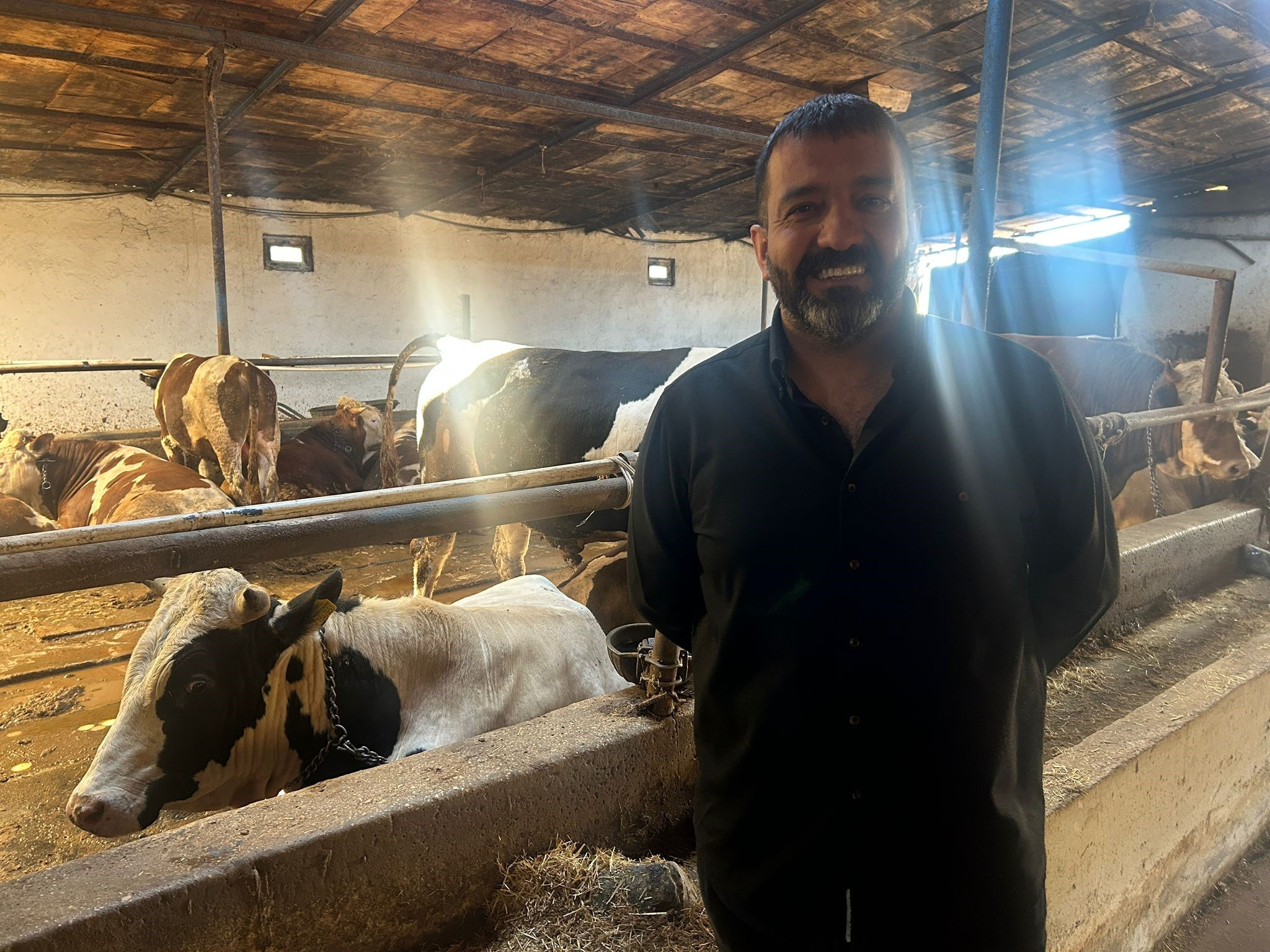 Pazarlıklar kızıştı! Hayvanlar tükenmeye mi başladı? Kurban pazarında dikkat çeken son durum - 1. Resim