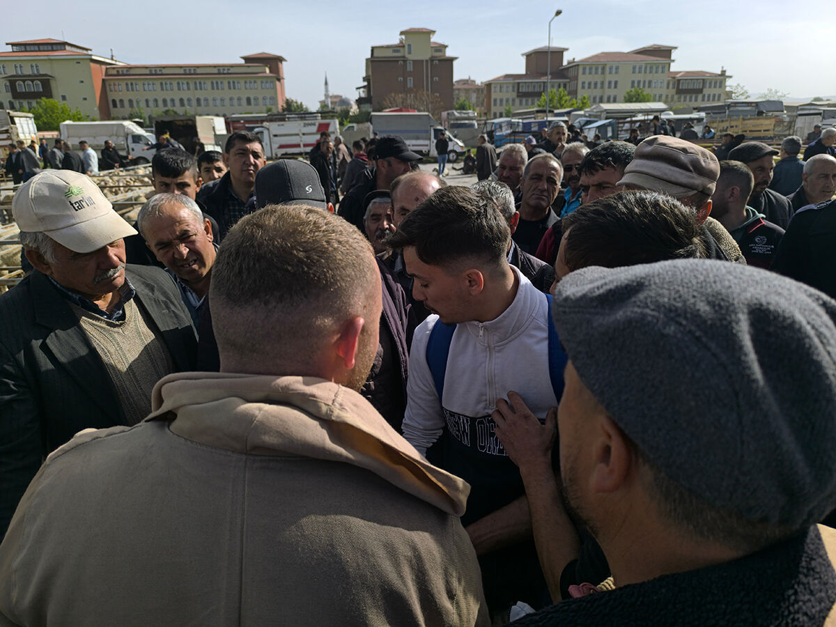 Pazarlıklar kızıştı! Hayvanlar tükenmeye mi başladı? Kurban pazarında dikkat çeken son durum - 3. Resim