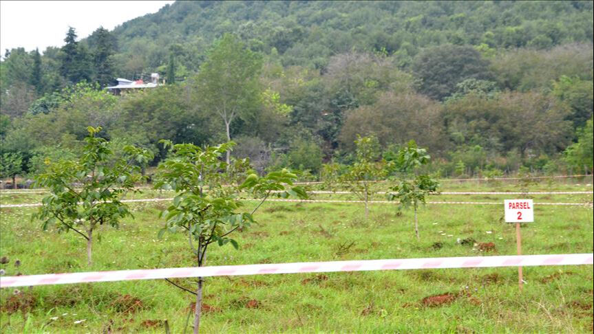 5 milyon kişiye 2B müjdesi gelmişti! Bakanlık duyurdu: 6 soruda mülkiyet hakları ve tapu süreci - 7. Resim