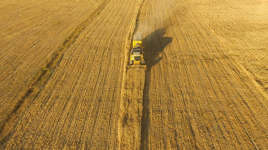 5 milyon kişiye 2B müjdesi gelmişti! Bakanlık duyurdu: 6 soruda mülkiyet hakları ve tapu süreci - 4. Resim
