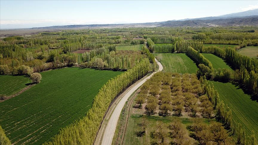 5 milyon kişiye 2B müjdesi gelmişti! Bakanlık duyurdu: 6 soruda mülkiyet hakları ve tapu süreci - 5. Resim