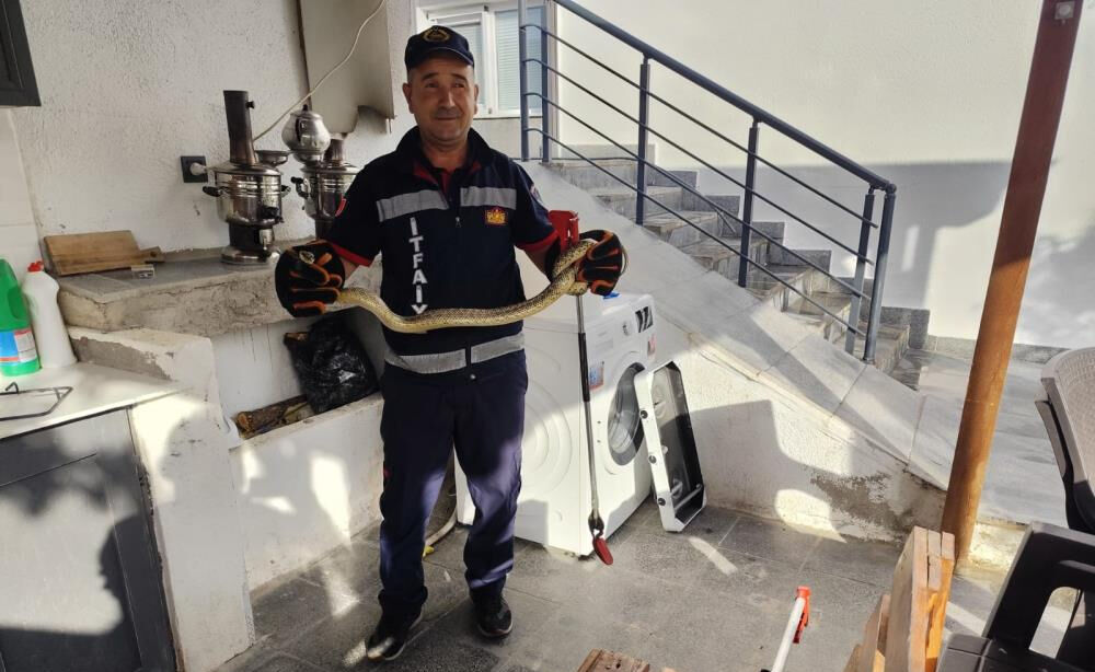 Eve giren büyük yılan ekipleri alarma geçirdi - 1. Resim