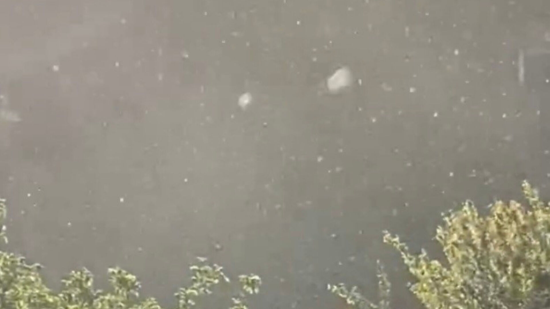 Trakya'da vatandaşın Mayıs ayında yağan kara ilginç sitemi: Yapmayın gözünüzü seveyim - 1. Resim