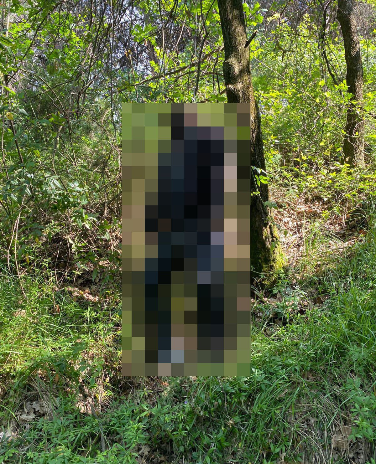 Ağaca asılı halde bulundu! Yalova'da günlerdir aranan gençten acı haber geldi Ağaca asılı halde bulundu! Yalova'da günlerdir aranan gençten acı haber geldi - 3. Resim