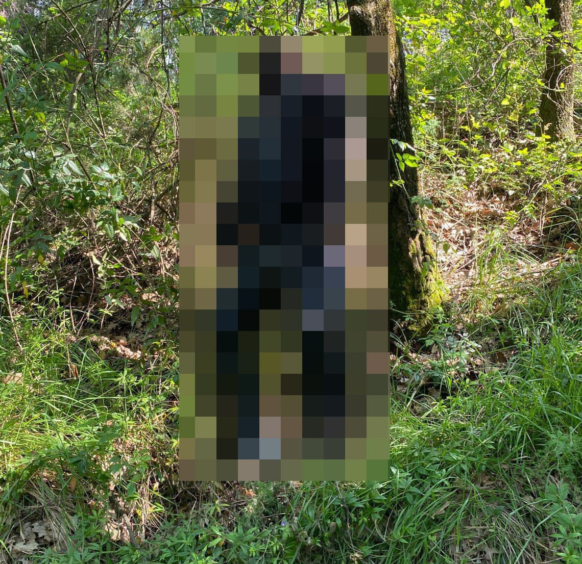 Esra Erol'da yana döne aranıyordu! Ağaca asılı halde cesedi bulundu - 2. Resim