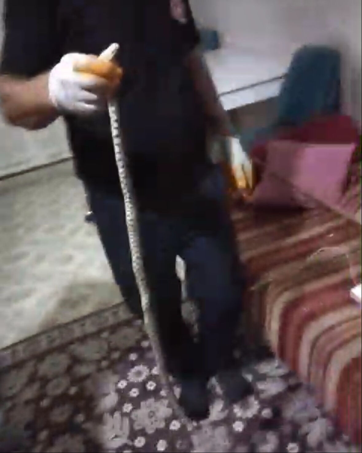 Havalar ısındı, engerek yılanları ortaya çıktı: Öğrenciler soluğu öğretmenlerinin yanında aldı - 1. Resim