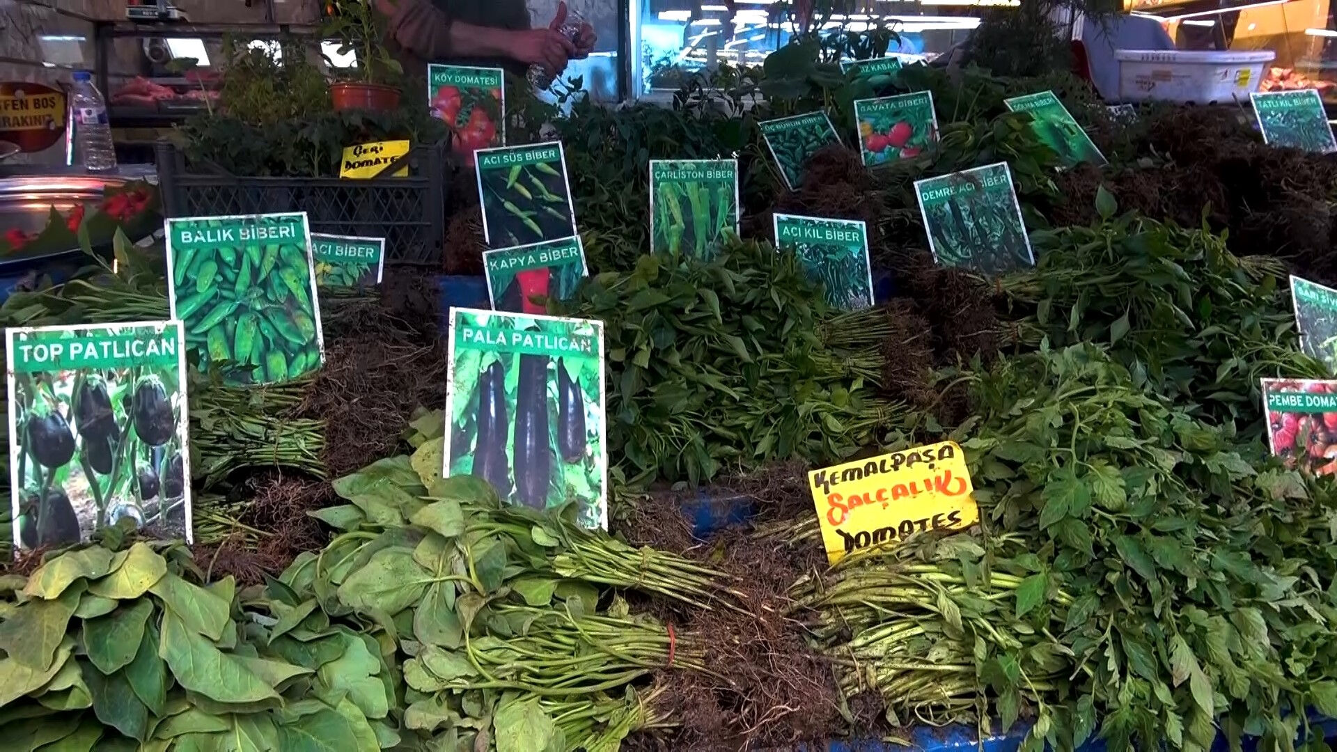 Teklisi 20, demeti 40 lira! Hem ekonomik hem de organik, 45 g&uuml;nde sofrada - 1. Resim