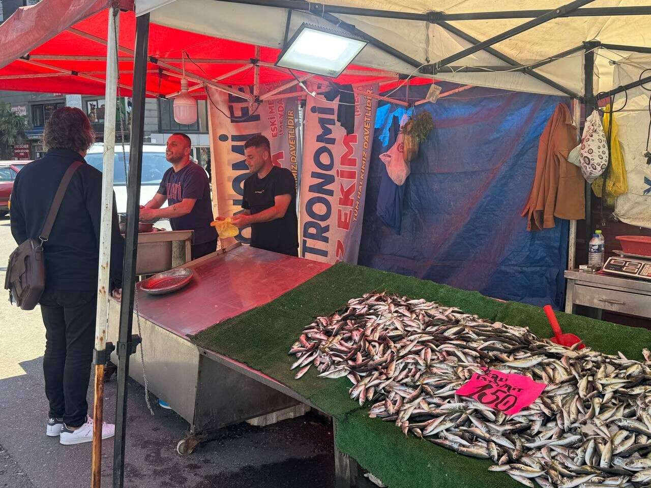 Tezgahlardaki en ucuz balık! Kilosu 150 liradan satılıyor - 1. Resim