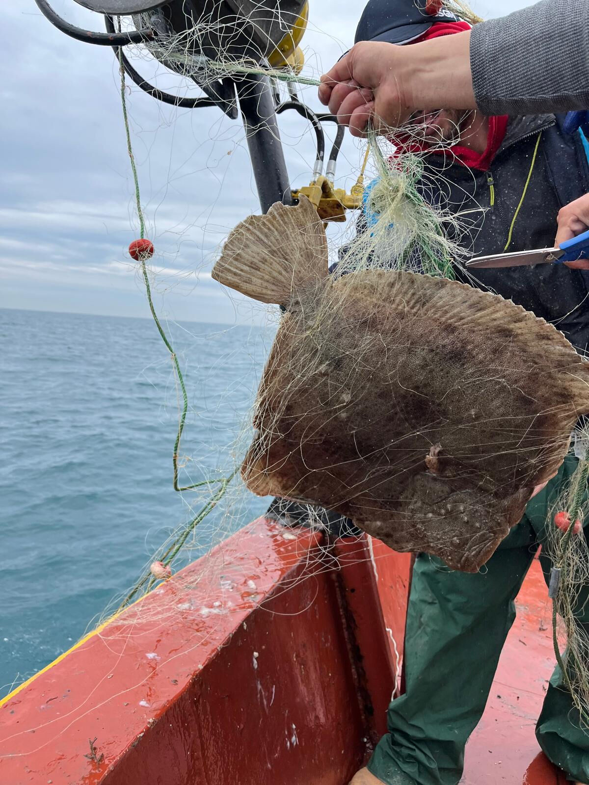 440 parça, 44 metre! Hepsi imha edildi - 1. Resim