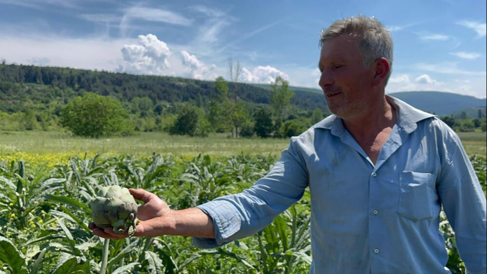 Bir yıllık emeği bir gecede gitti! Değeri 60 bin liranın üzerinde... 