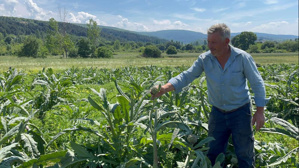 Bir yıllık emeği bir gecede gitti! Değeri 60 bin liranın üzerinde... 
