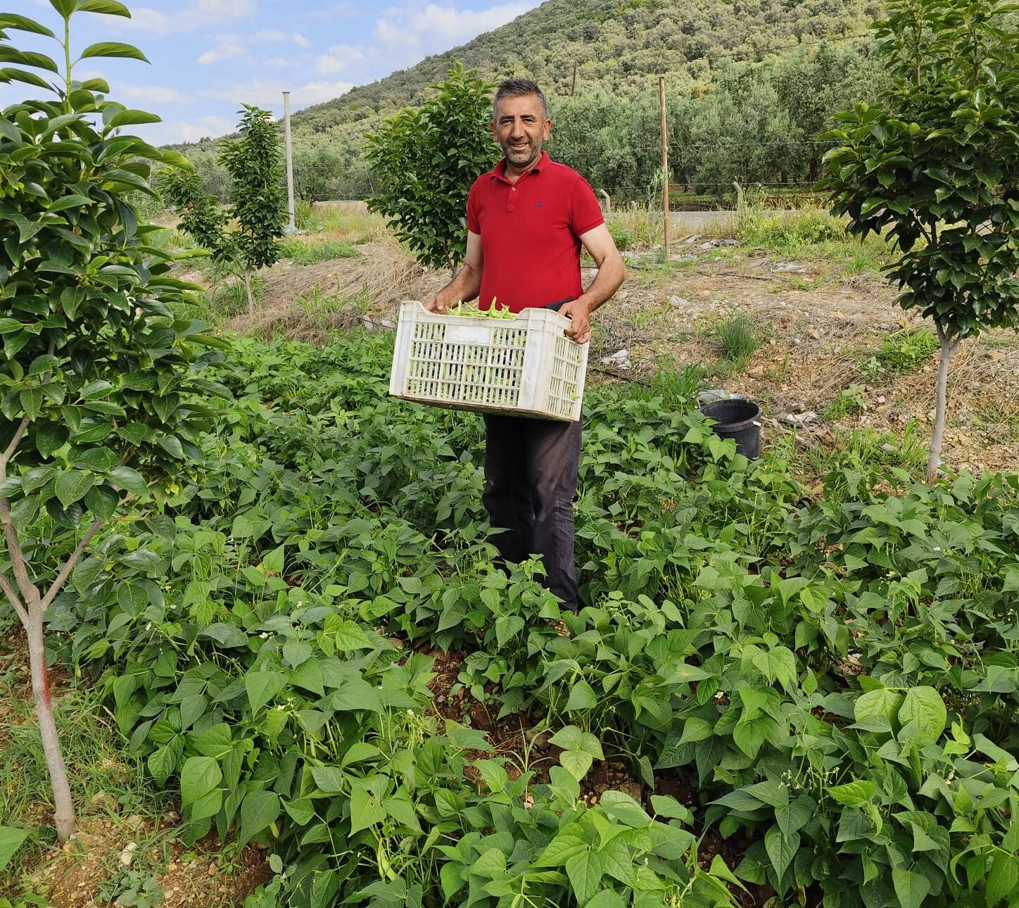 Damaklarda iz bırakıyor! 