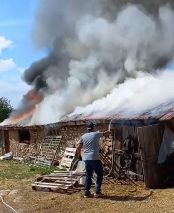 Fareler kabloları kemirdi, çıkan yangın ahırı kül etti! Hayvanları son anda kurtardılar - 1. Resim