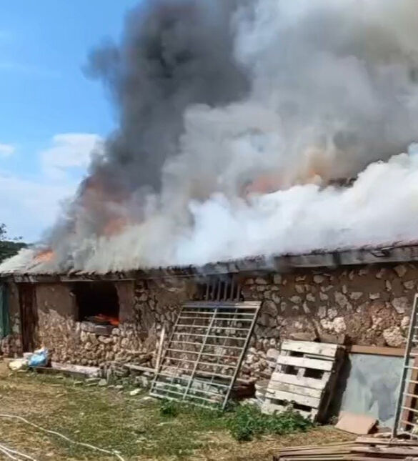 Fareler kabloları kemirdi, çıkan yangın ahırı kül etti! Hayvanları son anda kurtardılar - 2. Resim