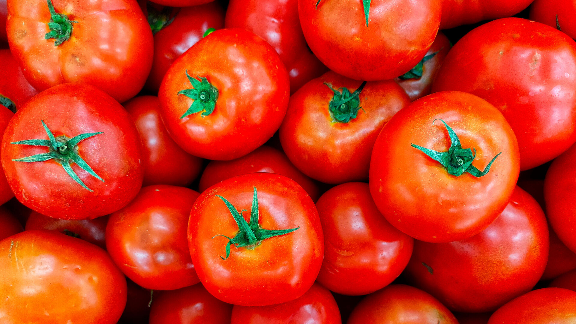 Kilo vermek artık çok kolay! Yağ yakan 5 besin ile kilolarla vedalaşın