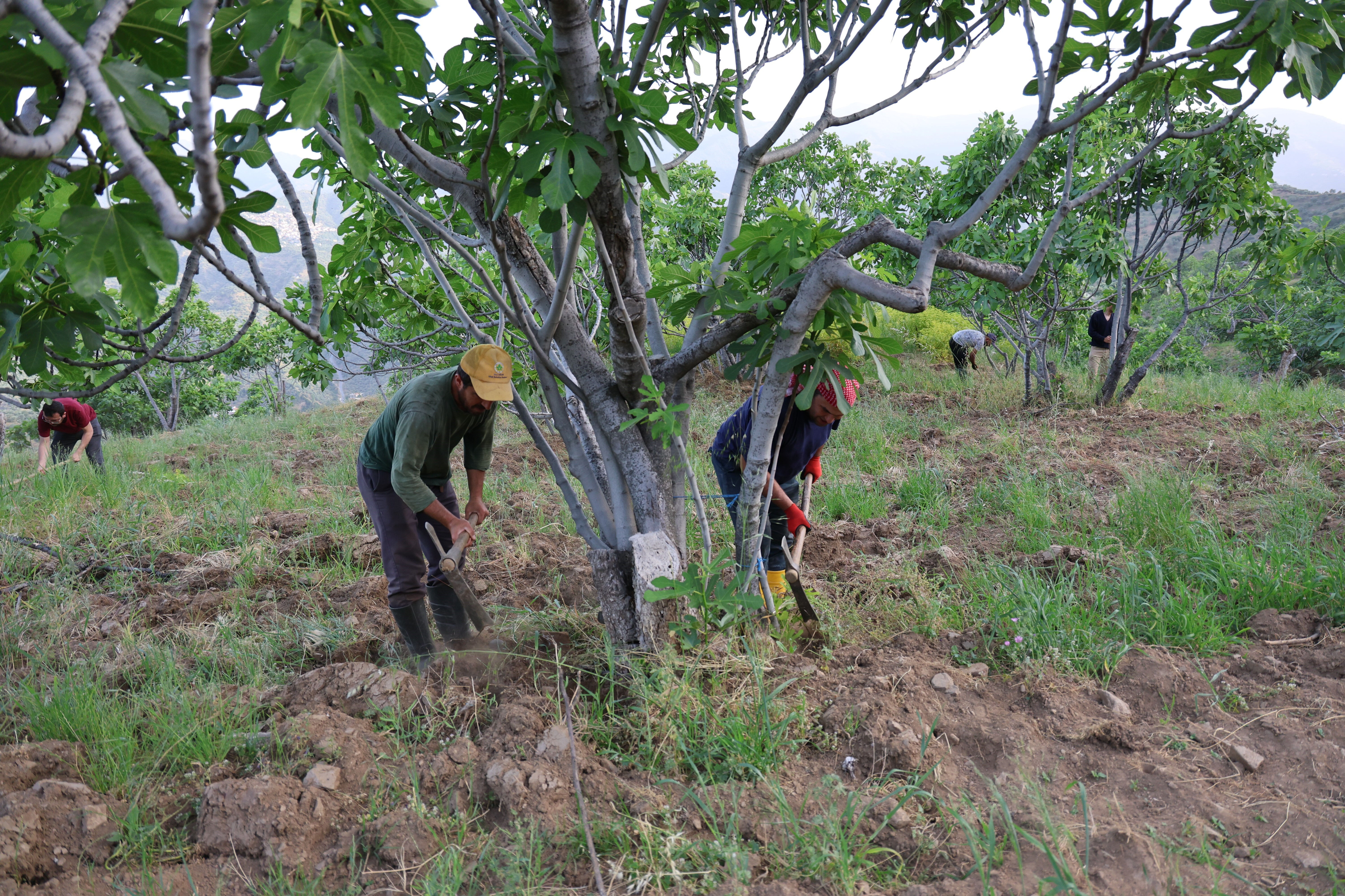 Parası çok iyi! Üniversite mezunu da bu işi yapıyor: Çocuk gibi bakıyorlar... - 3. Resim