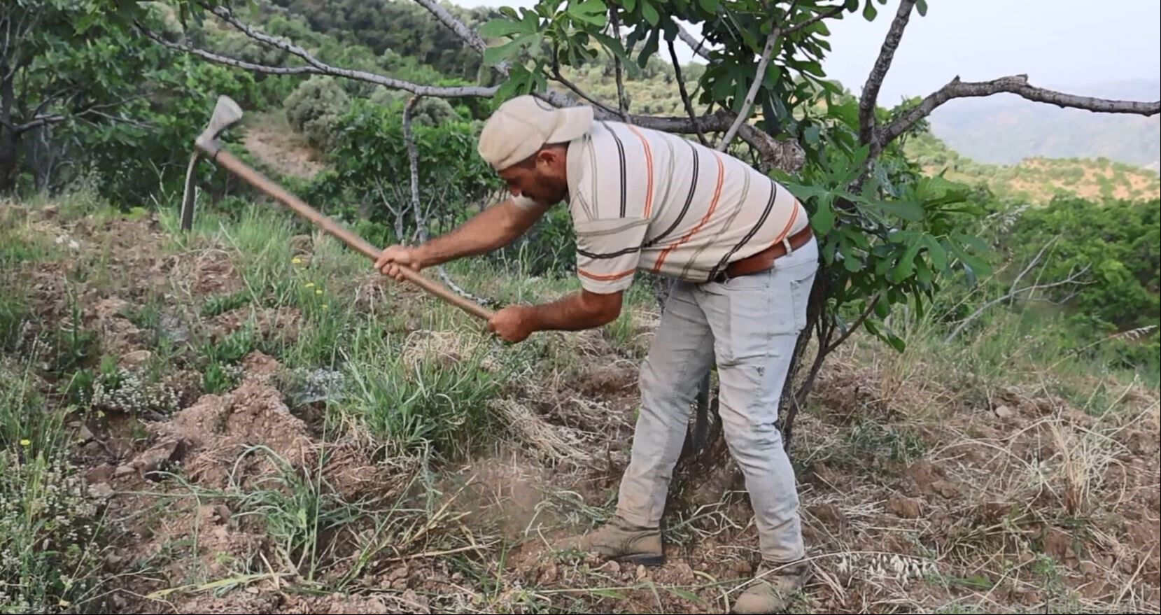 Parası çok iyi! Üniversite mezunu da bu işi yapıyor: Çocuk gibi bakıyorlar... - 1. Resim
