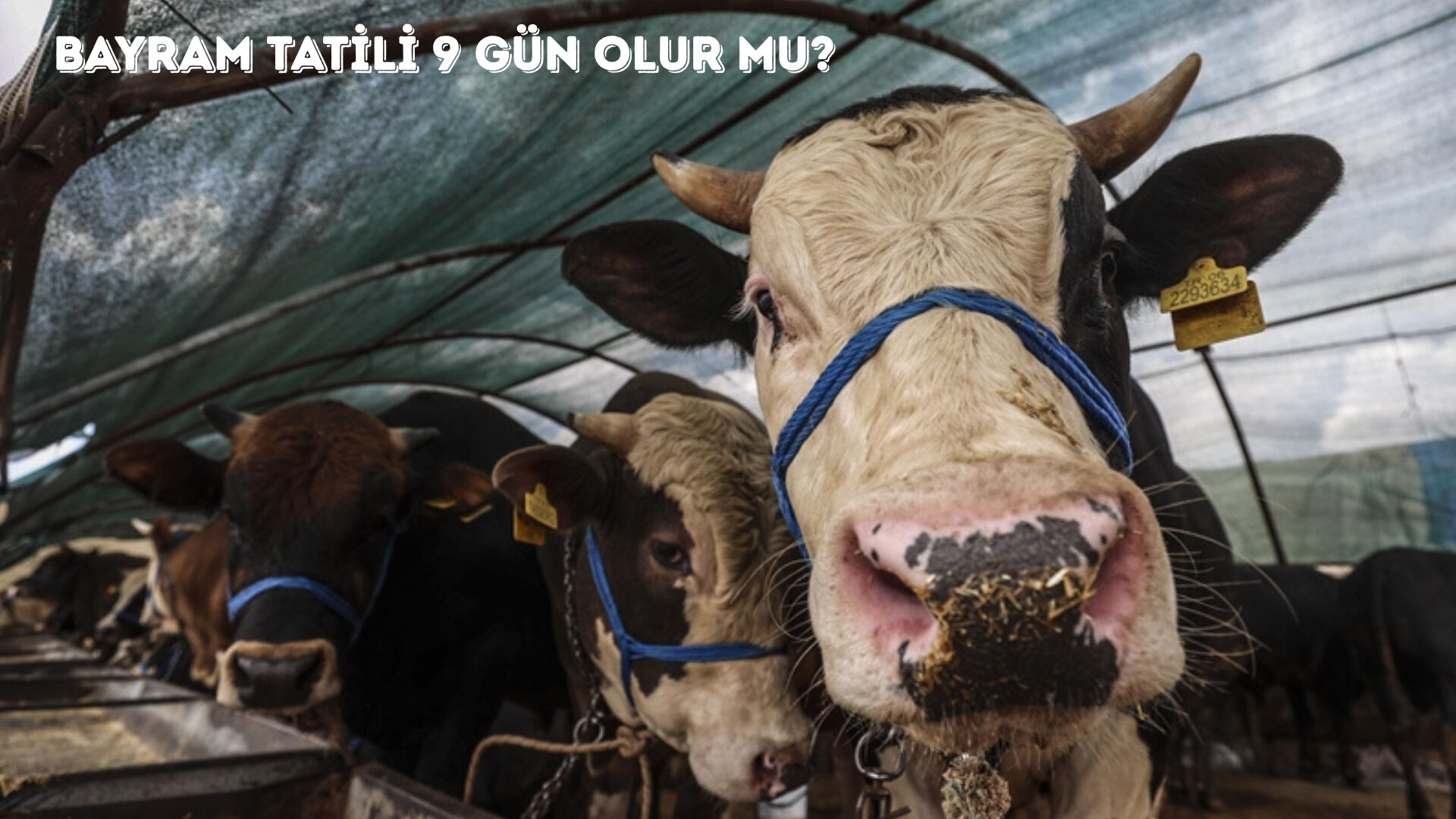 Kurban Bayramı tatili uzatılır mı? Son dakika bayram tatili kararı bekleniyor - 2. Resim