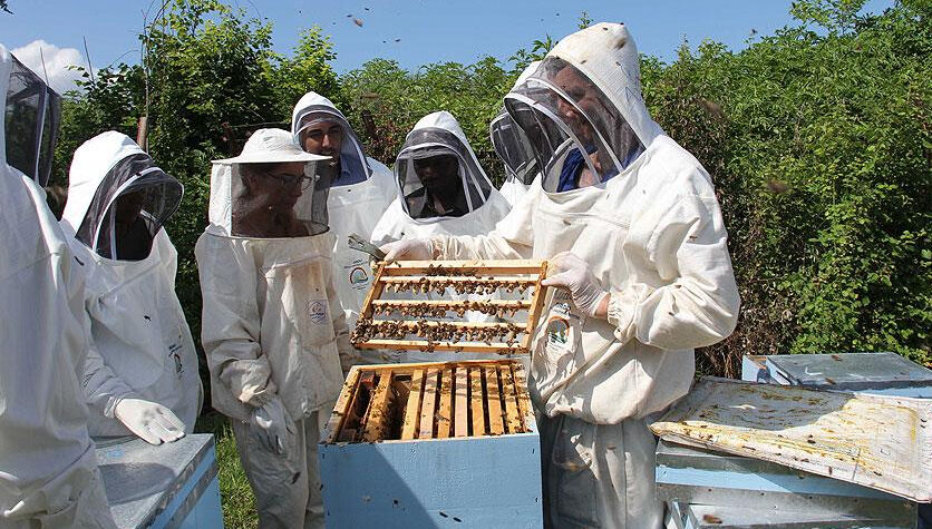 TİKA'dan 'bal' gibi destek! Ülkede bu sektöre el attı - 1. Resim