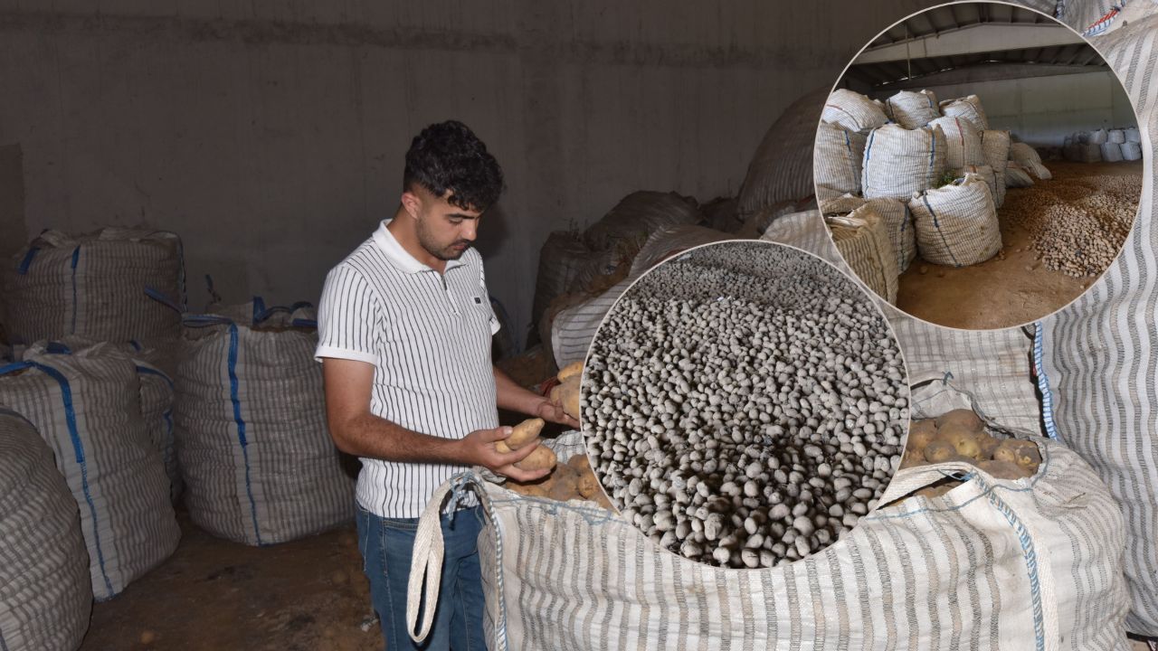 Binlerce ürün alıcı bekliyor, üretici mağdur! "20 bin tonu satılmadığı için elimizde" Binlerce ürün alıcı bekliyor, üretici mağdur! "20 bin tonu satılmadığı için elimizde"