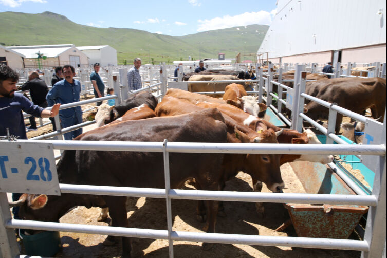 Kurban Bayramı öncesi hareketlilik! On binlercesi doğudan batıya geldi - 1. Resim