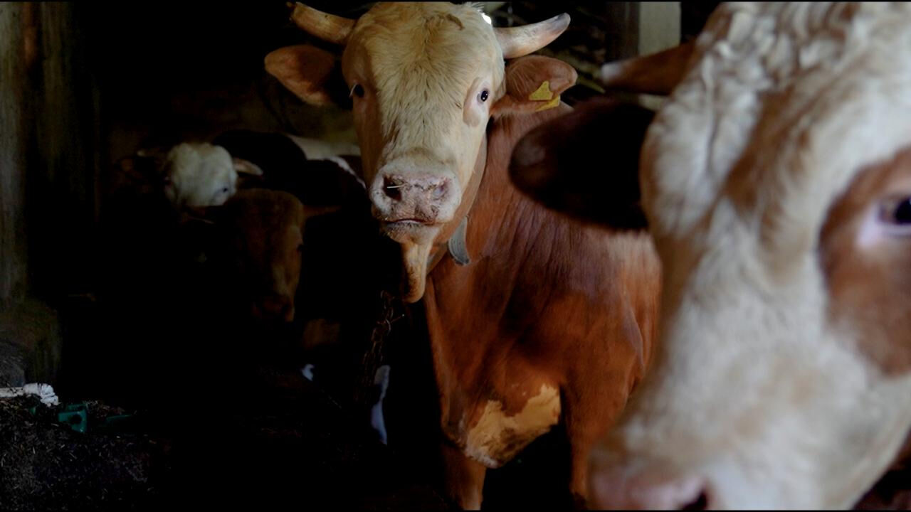 Kurban Bayramı öncesi hareketlilik! On binlercesi doğudan batıya geldi - 2. Resim