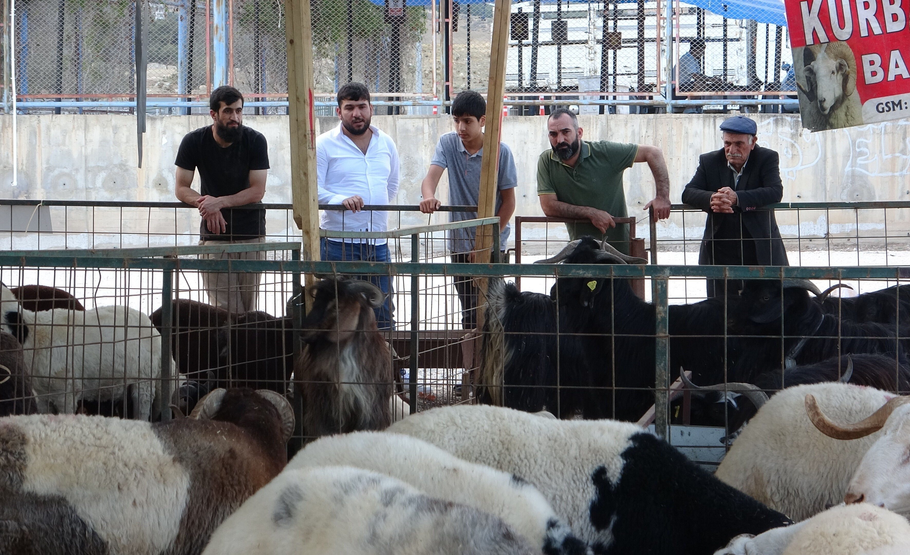 Kurban pazarlarında kıran kırana pazarlık! Vatandaş fiyatlara 