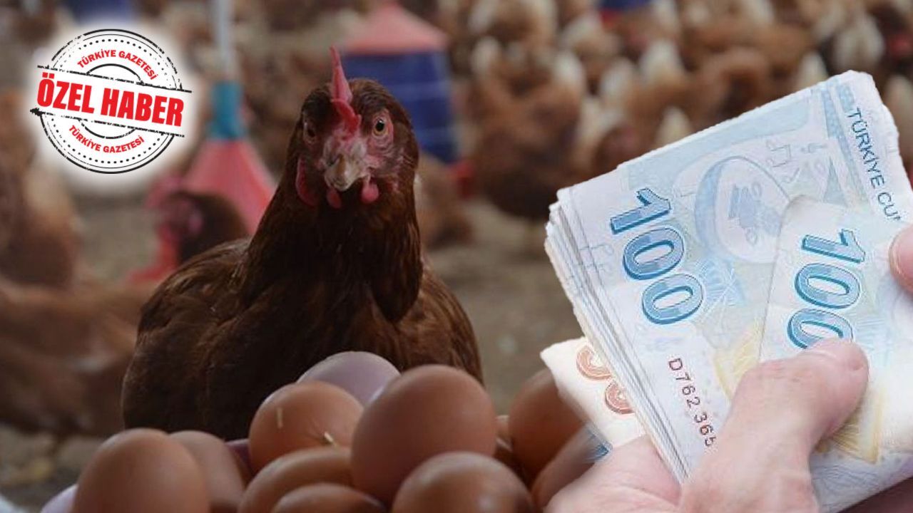 Yumurta fiyatları düşüşe geçti! 30’lu kolinin fiyatı ne kadar? Yumurta fiyatları düşüşe geçti! 30’lu kolinin fiyatı ne kadar?