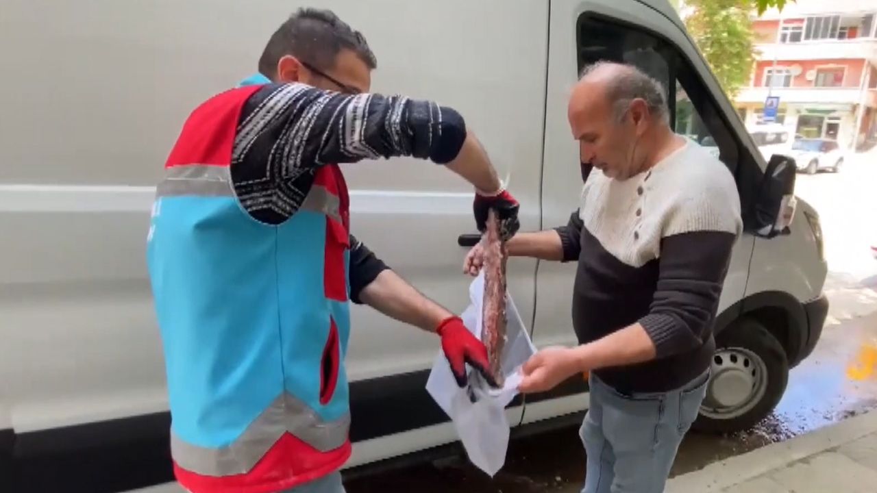 Yaşam