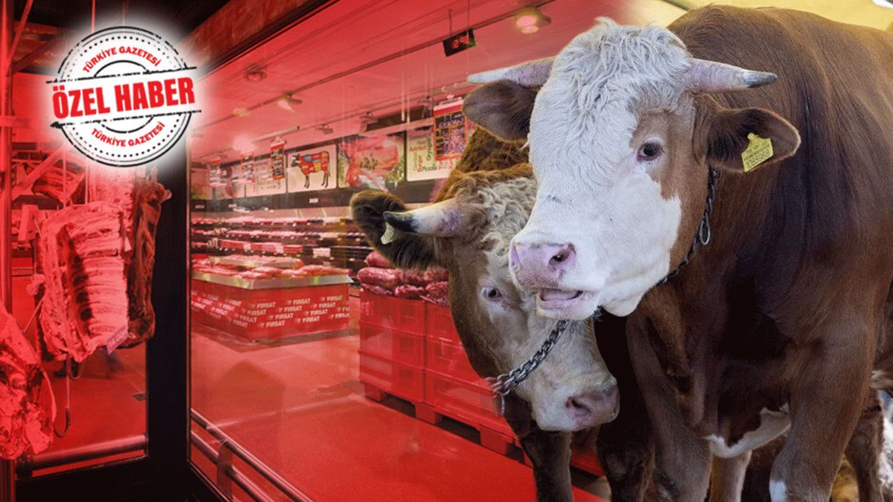 Marketler kurban değil, et satıyor! Bayram öncesi önemli soru gündemde: Kurbanlık nerden alınmalı? Marketler kurban değil, et satıyor! Bayram öncesi önemli soru gündemde: Kurbanlık nerden alınmalı?