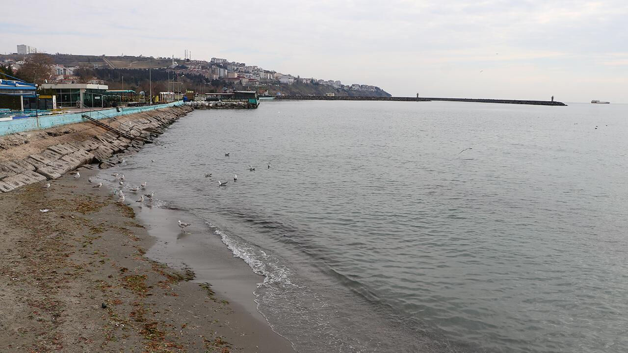 Marmara'nın çığlığına dikkat! Her yıl 7 milyon ton ekleniyor, 25 milyon insanı tehdit ediyor Marmara'nın çığlığına dikkat! Her yıl 7 milyon ton ekleniyor, 25 milyon insanı tehdit ediyor - 2. Resim