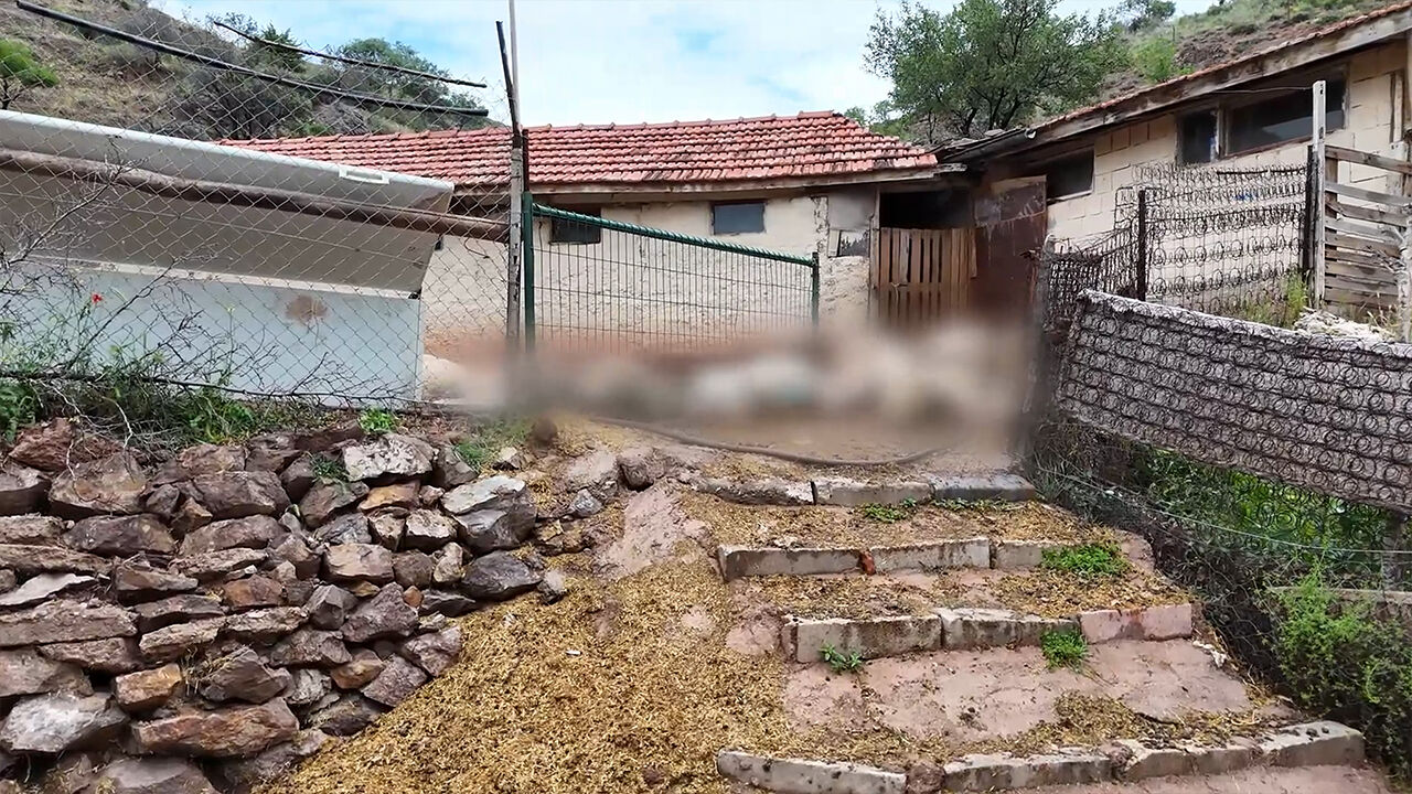 Ali Amca bir gecede kabusu yaşadı: Yemedim yedirdim, canavar geldi, kırdı geçirdi! - 3. Resim