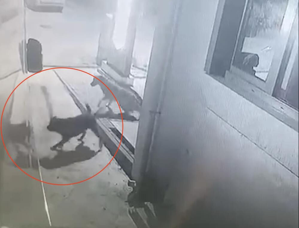 Aracının başına gelince şoke oldu! Gerçek güvenlik kamerasıyla ortaya çıktı Aracının başına gelince şoke oldu! Gerçek güvenlik kamerasıyla ortaya çıktı - 1. Resim
