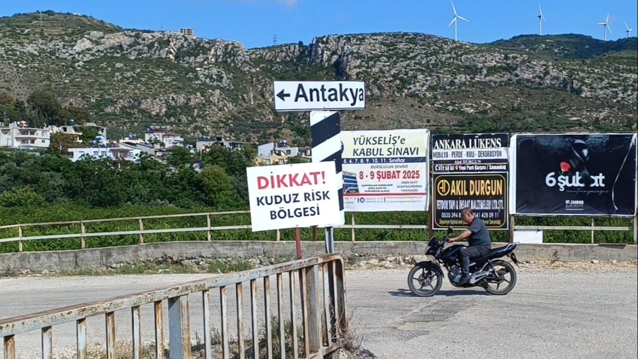 Bir ilçe diken üstünde! Kuduz alarmı harekete geçirdi: Mahalleler karantinaya alındı