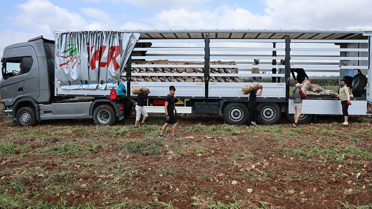 Günde 2 bin 500 lira kazanıyorlar! Tarlada hasat başladı, aylık kazançları 100 bini buluyor - 3. Resim