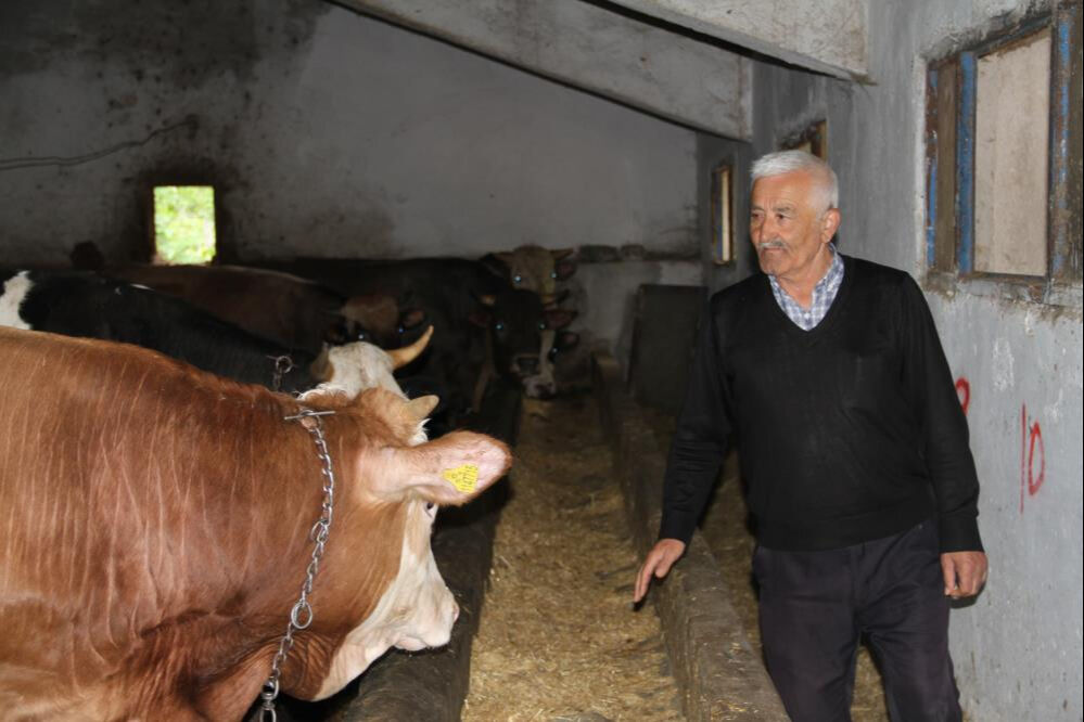 Herkes ucuz diye o ile akın ediyor! Kurbanlık fiyatları daha düşük Herkes ucuz diye o ile akın ediyor! Kurbanlık fiyatları daha düşük - 2. Resim