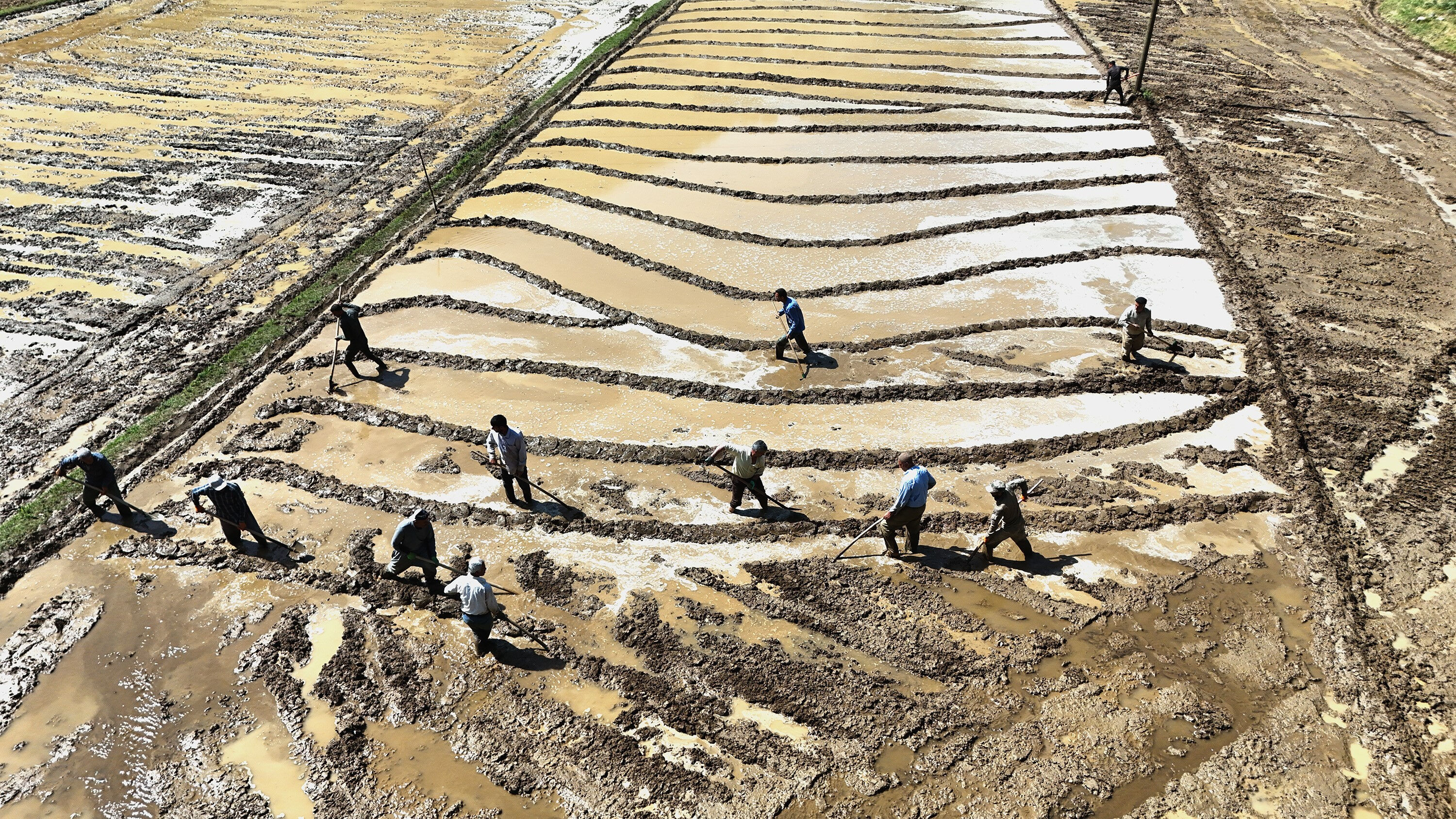 Kilosu 100 lira! İşe günün ilk ışıklarıyla başlıyorlar, geleneksel yöntemlerle çalışıyorlar - 1. Resim