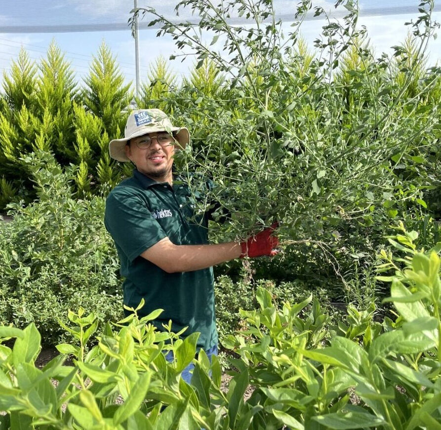 Staja gitmeyince evine baktılar! Üniversiteli gencin kahreden ölümü - 2. Resim