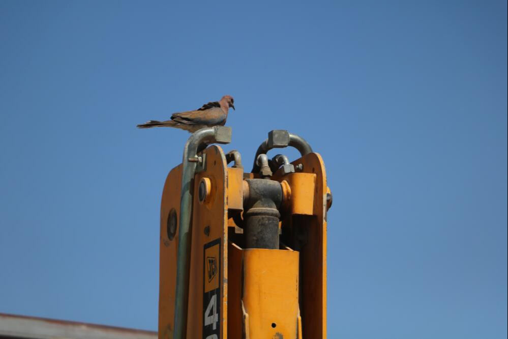 23 gündür kontağı açmadı! Sebebi duygulandırdı... 